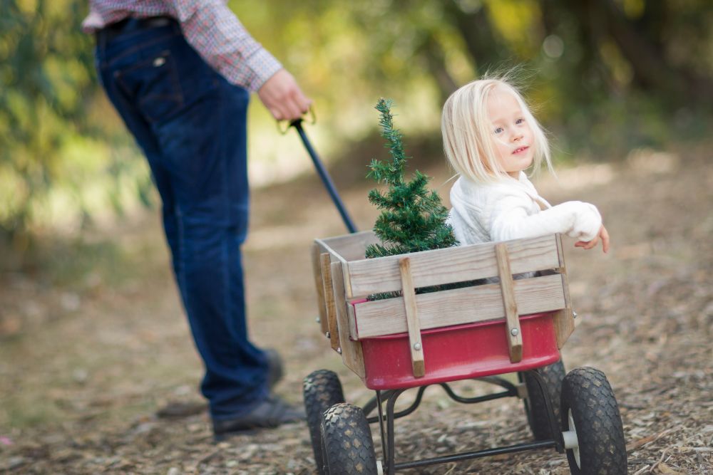 Father pulling his daughter in a kids wagon