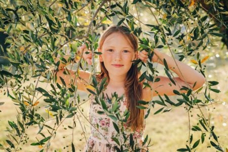 Adorable little girl playing next to the olive tree