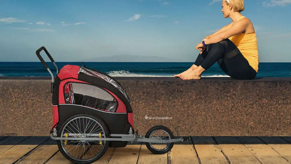 Photo of the Aosom Elite 2-In-1 Double Jogger