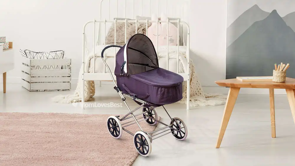 Photo of the Badger Basket 3-in-1 Stroller