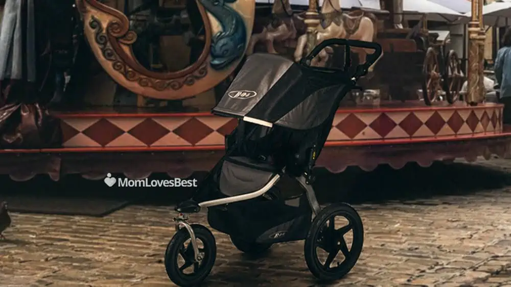 Photo of the BOB Revolution Flex 3.0 Jogging Stroller