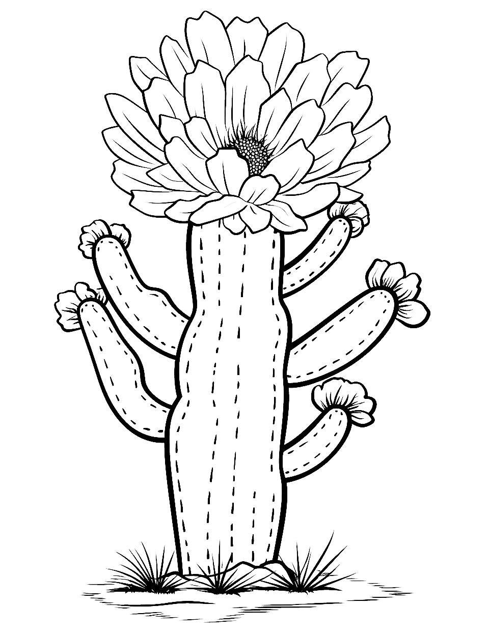 Cactus Flower Bloom Coloring Page - A cactus in full bloom, with large, vibrant flowers sprouting from its top.