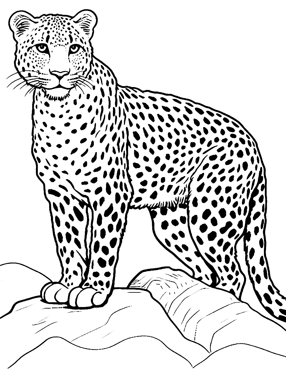 Cheetah on a Rocky Ledge Coloring Page - A cheetah perched majestically on a rocky ledge.