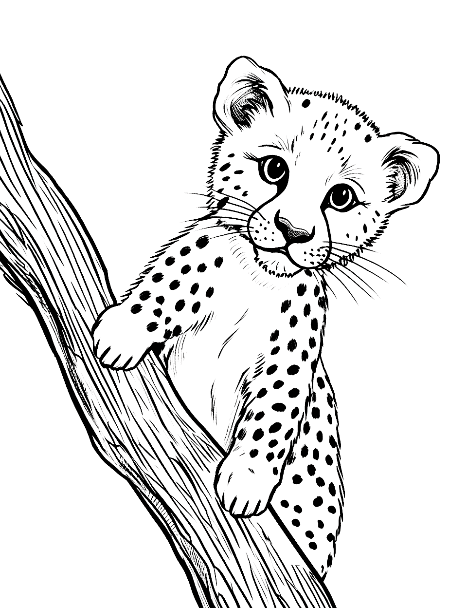 Baby Cheetah Playing Coloring Page - A playful cute baby cheetah batting at a small branch.