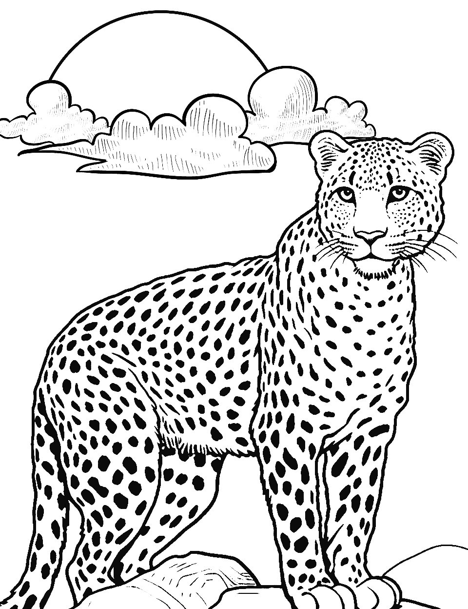 Cheetah on a Hill at Sunrise Coloring Page - A serene scene of a cheetah on a hill, with the sunrise in the background.