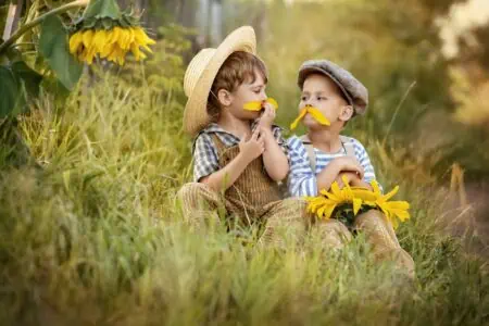 Two little boys playing with sunflower petals in the garden.
