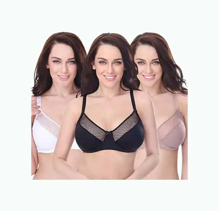 Product Image of the Curve Muse Plus Size