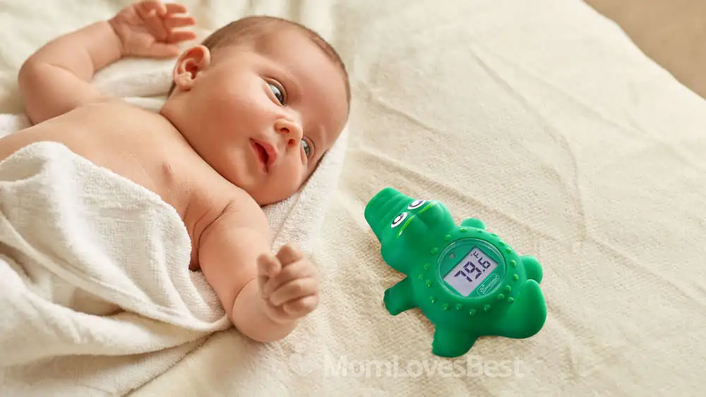 Photo of the Dreambaby Room & Bath Thermometer