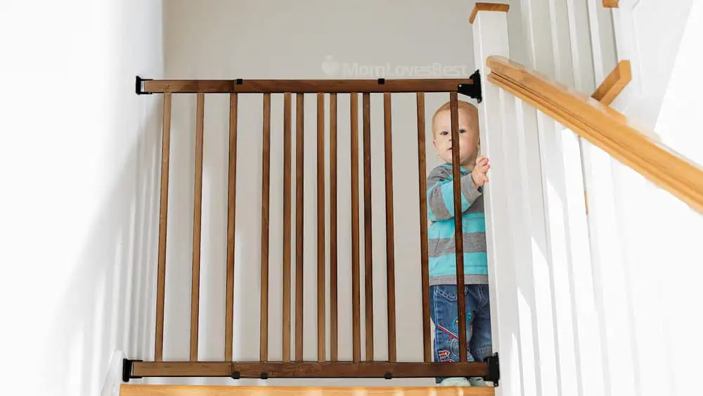 Photo of the Evenflo Extra Tall Top-of-The-Stair Gate