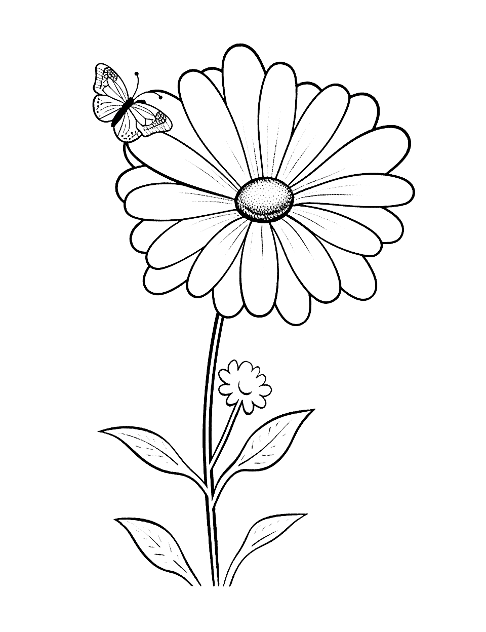 Cute Butterfly on Daisy Flower Coloring Page - A cute scene of a butterfly on a daisy flower.
