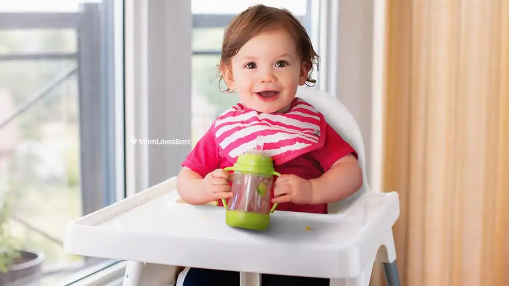 Photo of the Green Sprouts Glass Sip and Straw Cup