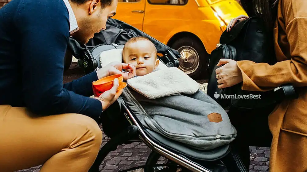 Photo of the JJ Cole Bunting Bag for Car Seats and Strollers