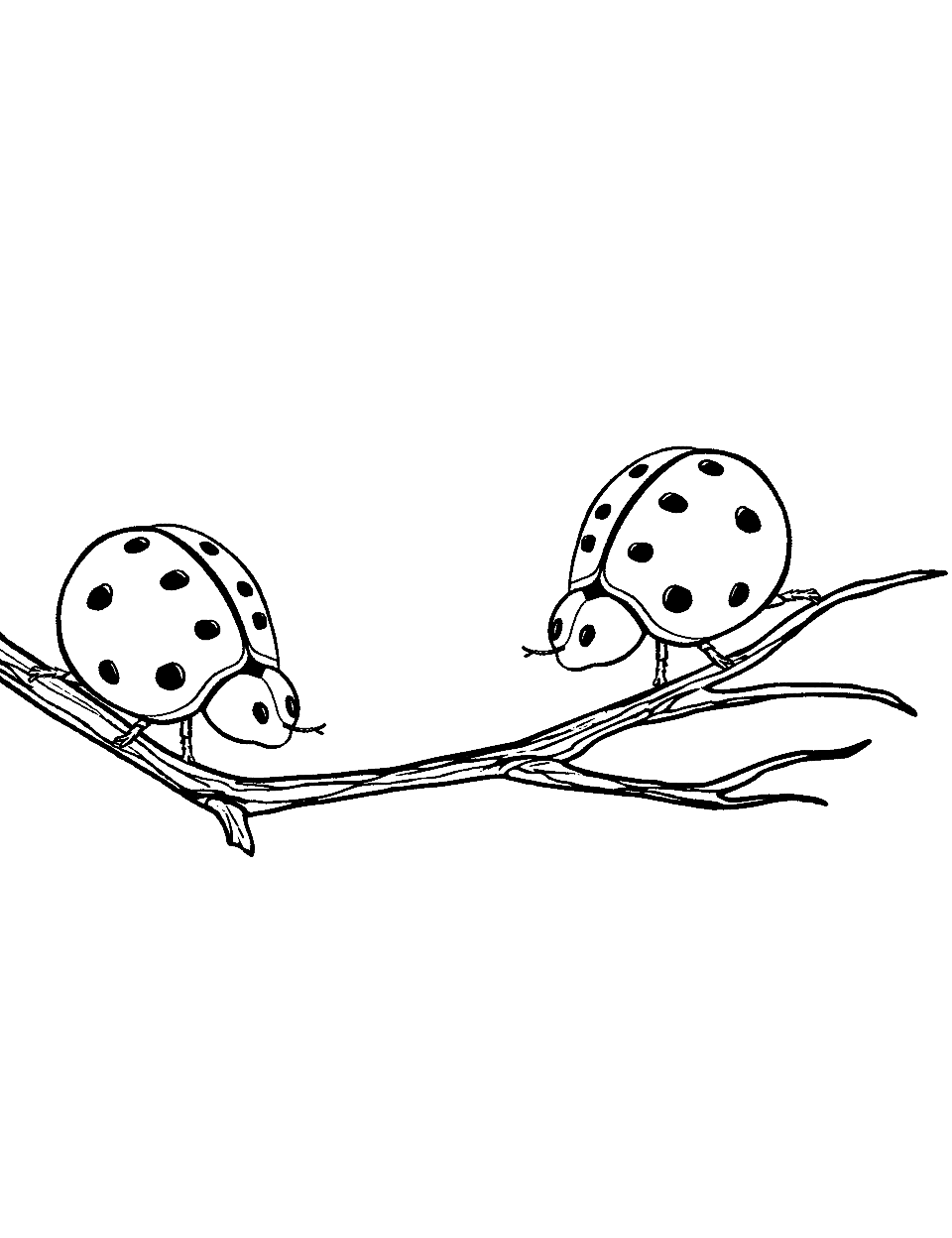 Ladybird Beetle Friends Meeting Ladybug Coloring Page - A scene where two Ladybird beetles meet each other on a branch.
