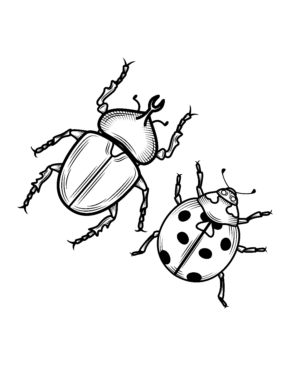 Beetle and Ladybug Side by Coloring Page - A ladybug and a beetle standing side by side.