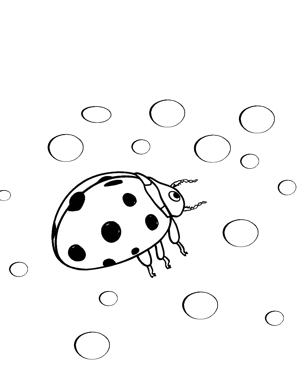 Baby Ladybug's Discovery Ladybug Coloring Page - A baby ladybug encountering a dewdrop for the first time.
