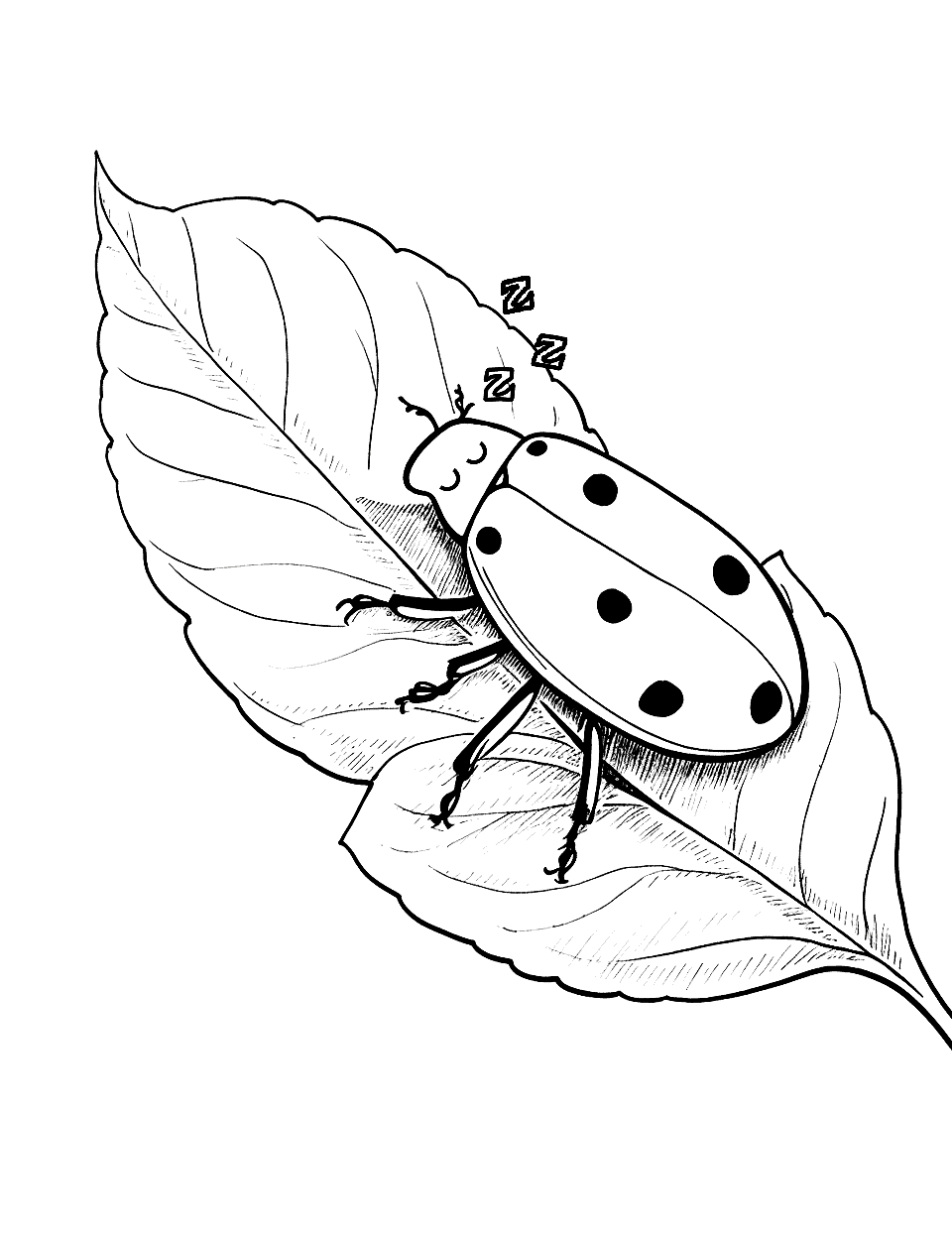 Lazy Afternoon for a Ladybug Coloring Page - A ladybug napping on a leaf.