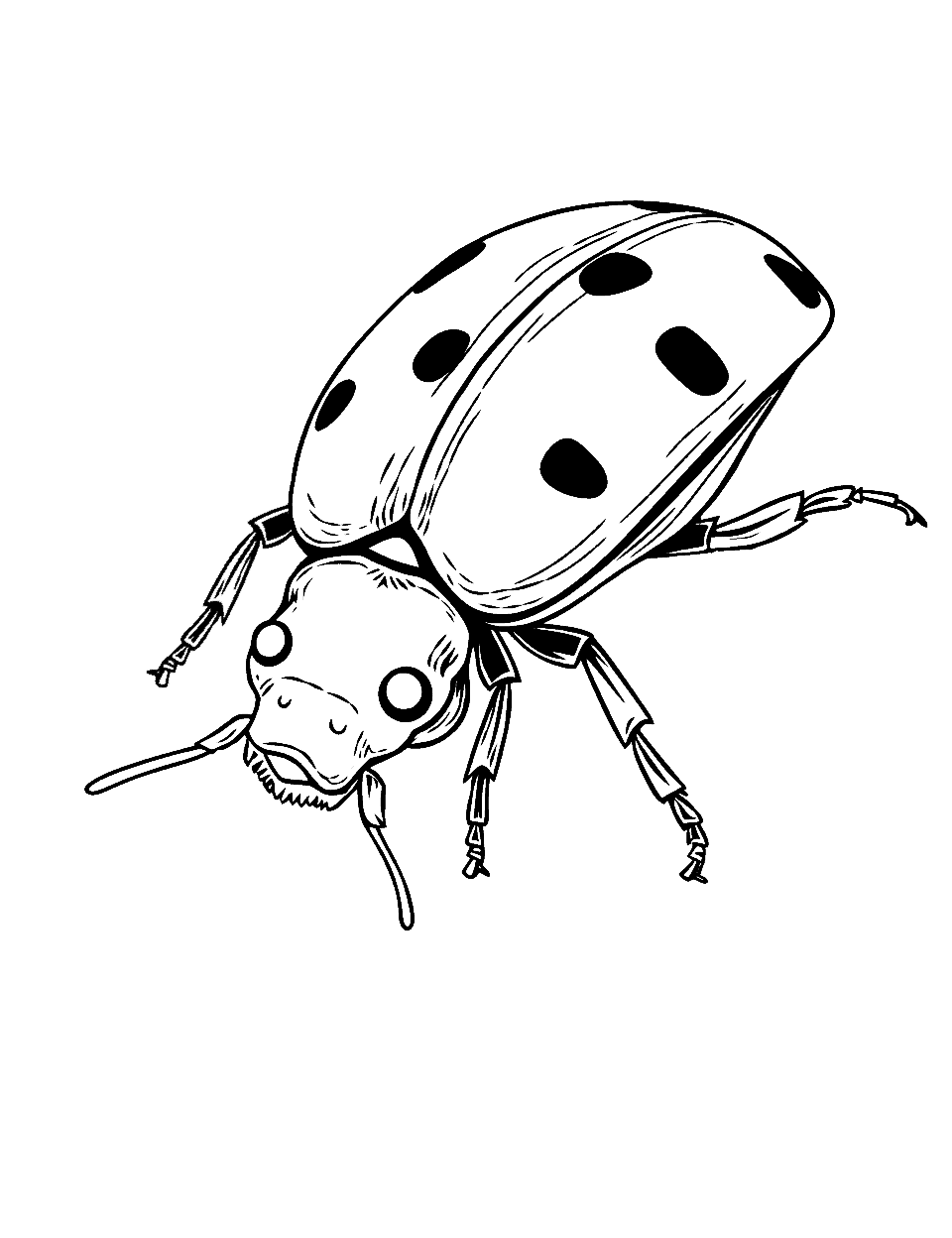 Realistic Ladybug Close-Up Coloring Page - A detailed close-up of a ladybug, showcasing its spots.