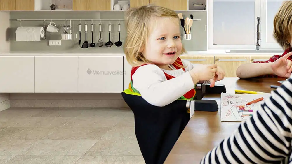 Photo of the Mountain Buggy Pod Clip-On High Chair