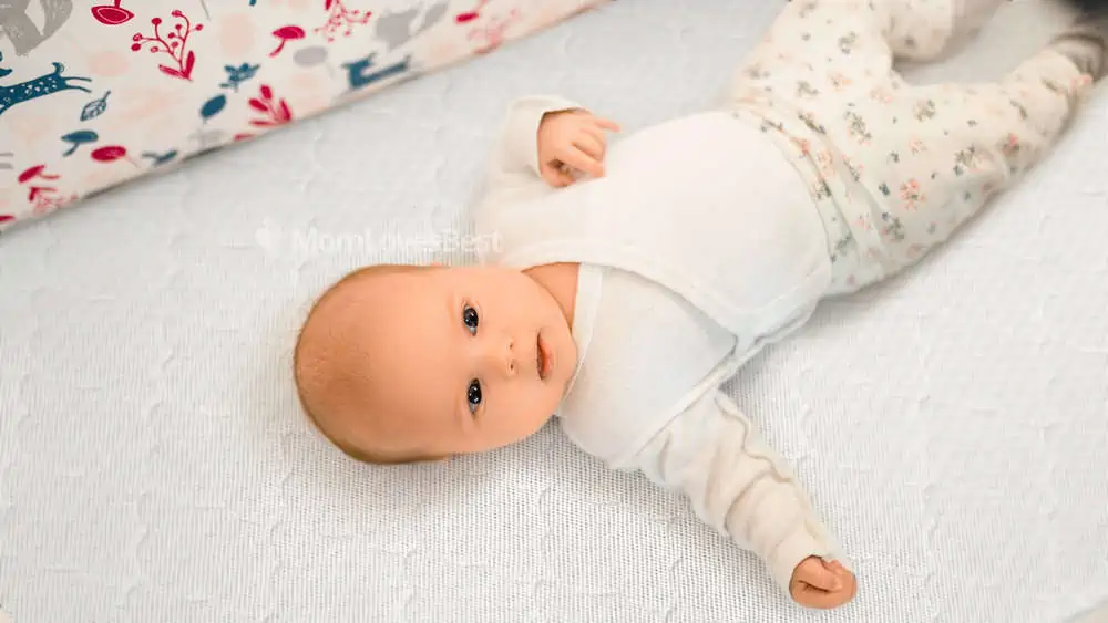 Photo of the Newton Baby Crib and Toddler Mattress