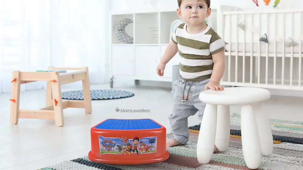 Photo of the Nickelodeon Paw Patrol Step Stool