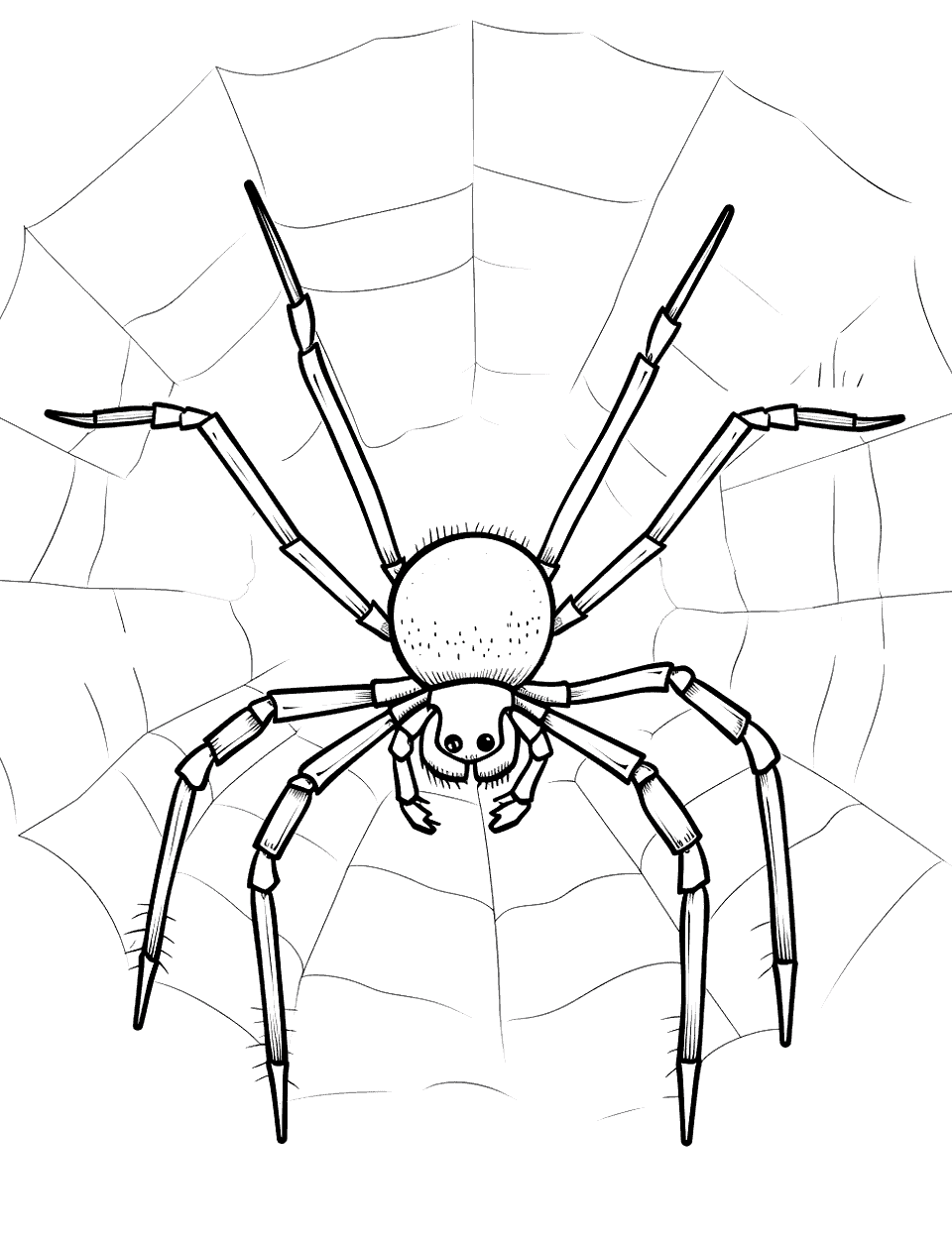 Orb Weaver at Work Spider Coloring Page - An orb weaver spider spinning its circular web.